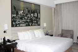 IMG_6739 (FILEminimizer)