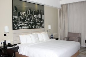 IMG_6739 (FILEminimizer)