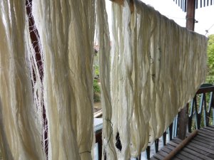 P1010775 (FILEminimizer)