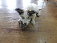 P1010787 (FILEminimizer)