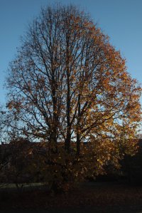 IMG_7452 (FILEminimizer)