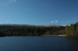 IMG_7508 (FILEminimizer)