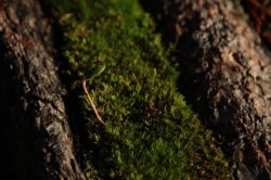 IMG_7572 (FILEminimizer)