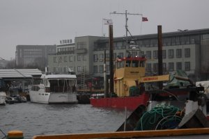 IMG_7608 (FILEminimizer)