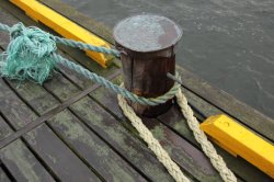 IMG_7655 (FILEminimizer)