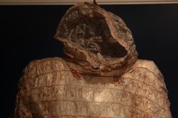 IMG_7671 (FILEminimizer)