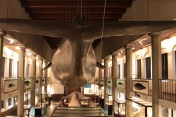 IMG_7688 (FILEminimizer)