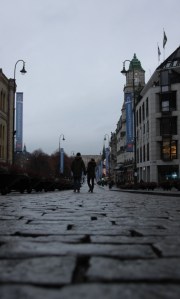 IMG_7717 - Copy (FILEminimizer)