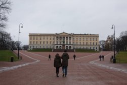 IMG_7729 - Copy (FILEminimizer)