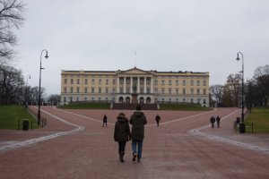 IMG_7729 - Copy (FILEminimizer)