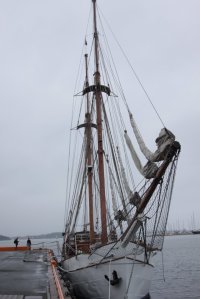 IMG_7742 - Copy (FILEminimizer)