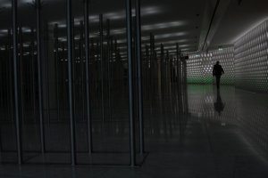 IMG_7847 - Copy (FILEminimizer)