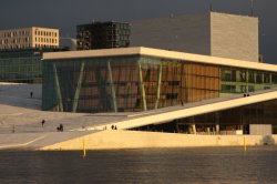 IMG_7918 - Copy (FILEminimizer)