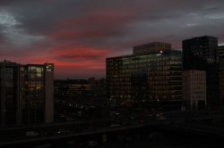 IMG_7981 - Copy (FILEminimizer)