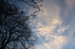 IMG_8023 - Copy (FILEminimizer)