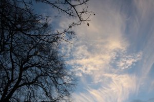 IMG_8023 - Copy (FILEminimizer)