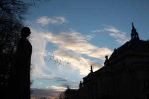 IMG_8030 - Copy (FILEminimizer)