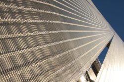 IMG_8047 - Copy (FILEminimizer)