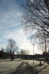 IMG_8190 (FILEminimizer)