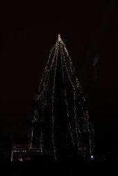 IMG_8212 (FILEminimizer)