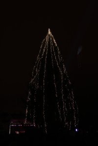 IMG_8212 (FILEminimizer)