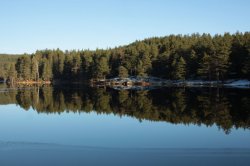 IMG_8296 (FILEminimizer)