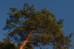 IMG_8391 (FILEminimizer)