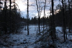 IMG_8403 (FILEminimizer)