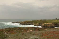 IMG_8455 (FILEminimizer)