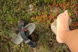 IMG_8458 (FILEminimizer)