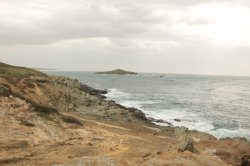 IMG_8463 (FILEminimizer)