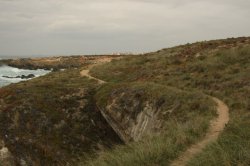 IMG_8465 (FILEminimizer)