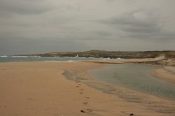 IMG_8473 (FILEminimizer)