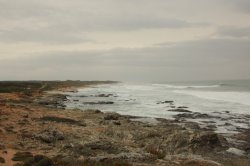 IMG_8479 (FILEminimizer)