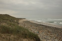 IMG_8481 (FILEminimizer)