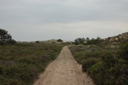 IMG_8486 (FILEminimizer)