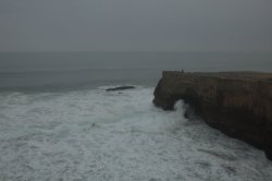 IMG_8496 (FILEminimizer)