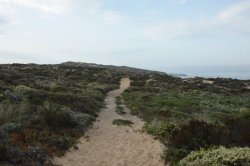 Regresso ao Trilho IMG_8514 (FILEminimizer)