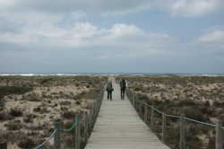 Caminhando IMG_8572 (FILEminimizer)