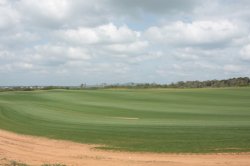 Relvado Perfeito IMG_8594 (FILEminimizer)