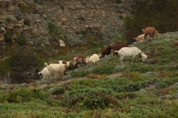 Méeeeeeee IMG_8671 (FILEminimizer)