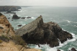 Formas Distintas II IMG_8726 (FILEminimizer)