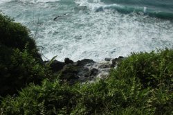 Correndo para o Mar IMG_8797 (FILEminimizer)