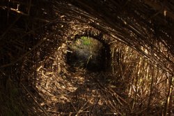 Túnel IMG_8802 (FILEminimizer)