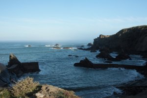 IMG_8840 (FILEminimizer)