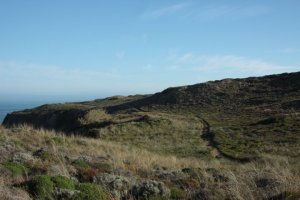 IMG_8854 (FILEminimizer)