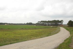 IMG_8892 - Copy (FILEminimizer)