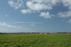 Cores Alegres IMG_8895 - Copy (FILEminimizer)