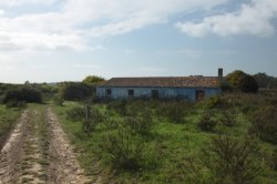 Casa Azul IMG_8899 - Copy (FILEminimizer)
