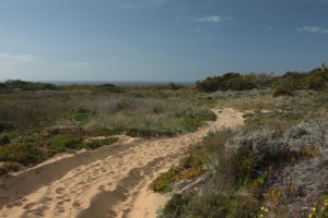 IMG_8901 - Copy (FILEminimizer)